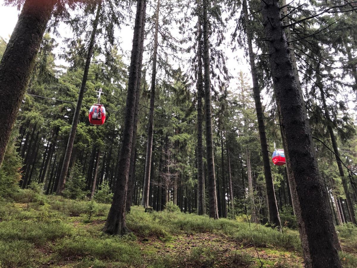 FeWo HarzRomantik Braunlage Zewnętrze zdjęcie