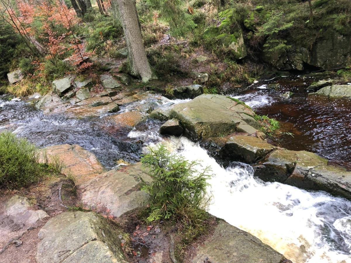 FeWo HarzRomantik Braunlage Zewnętrze zdjęcie