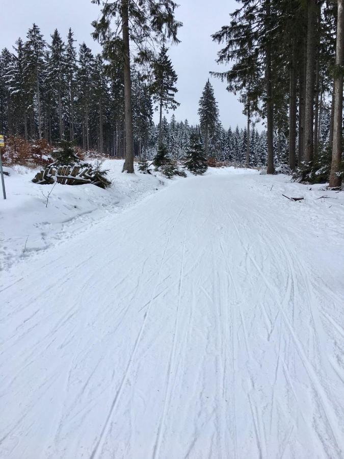 FeWo HarzRomantik Braunlage Zewnętrze zdjęcie